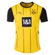 Borussia Dortmund Home Jersey Fan Version 2024/25