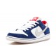 Dunk SB Low Ishod Wair _BMW_ Reps - snkrsrep_org/