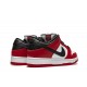 TIGHTBOOTH x Dunk Low SB Reps _ snkrsrep_org/