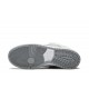 Shop for Sandy Bodecker Dunk Reps - Nike _ snkrsrep_org/