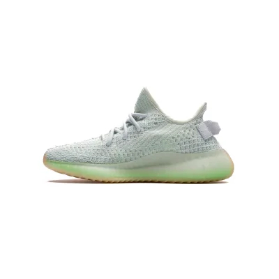 Adidas YEEZY 350 V2（69）